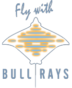 Logo N1 FWBR 150 181