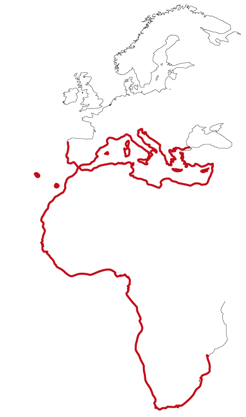 World countries b Converti