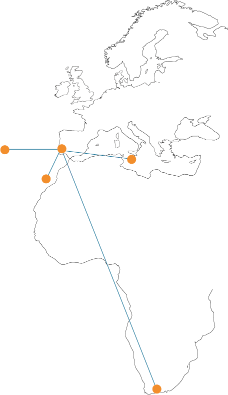 carte reseau sans logo