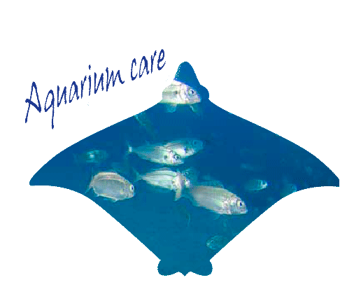 Learn more on captivity